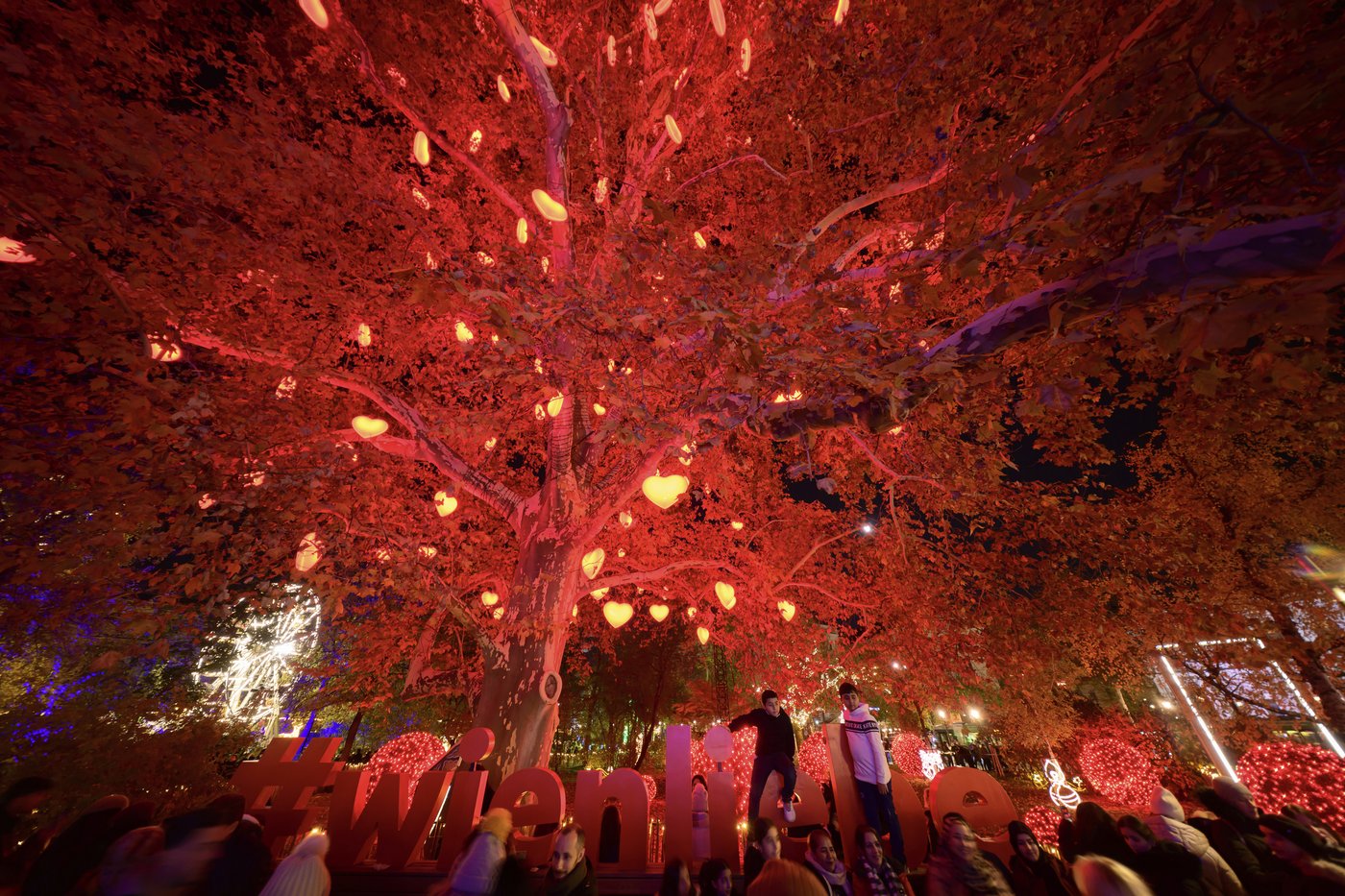 Lighting of Vienna town hall Christmas tree marks start of Yuletide season in Austrian capital | iNFOnews.ca