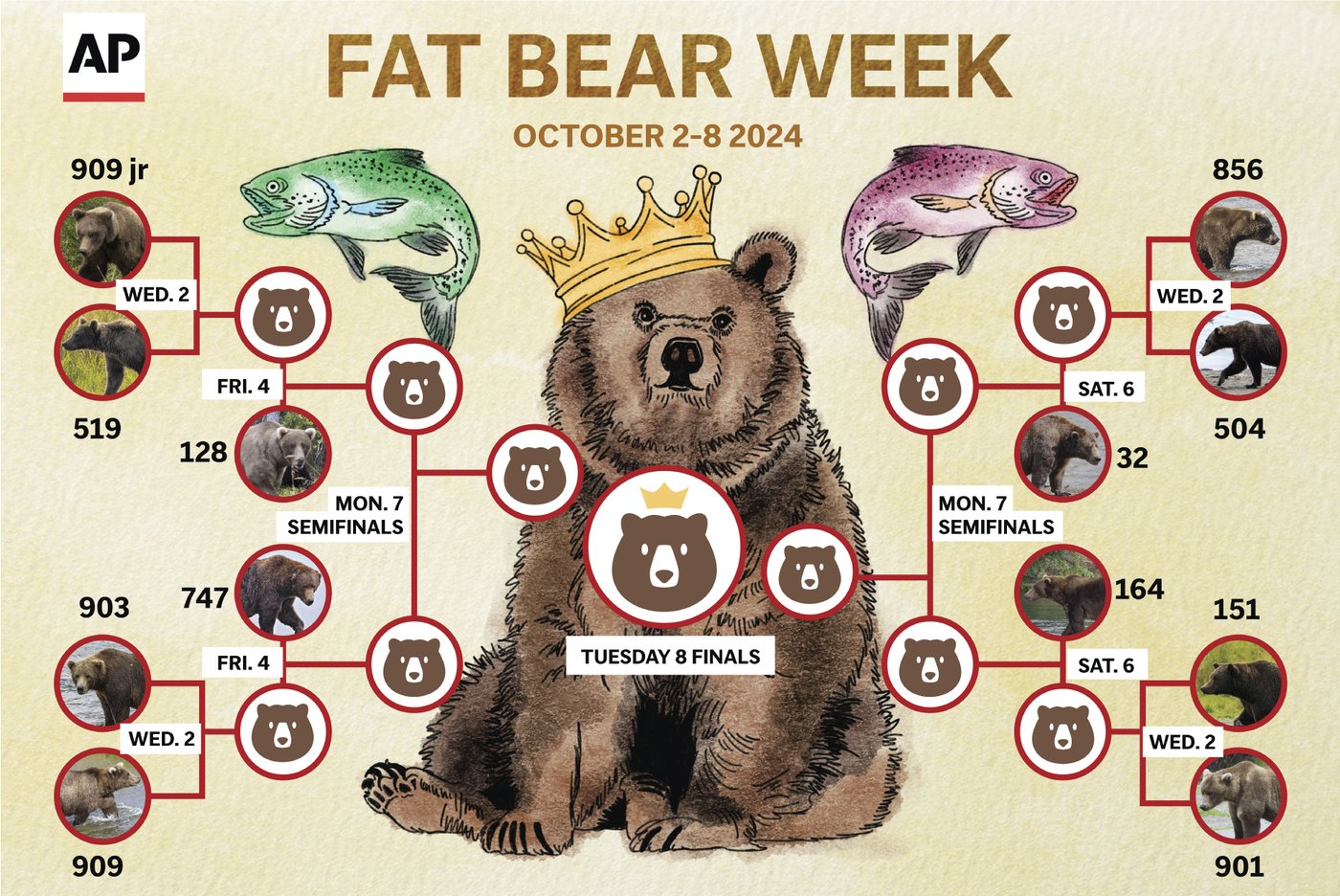 Online voting in Alaska's Fat Bear Week contest starts after an attack killed 1 contestant | iNFOnews.ca