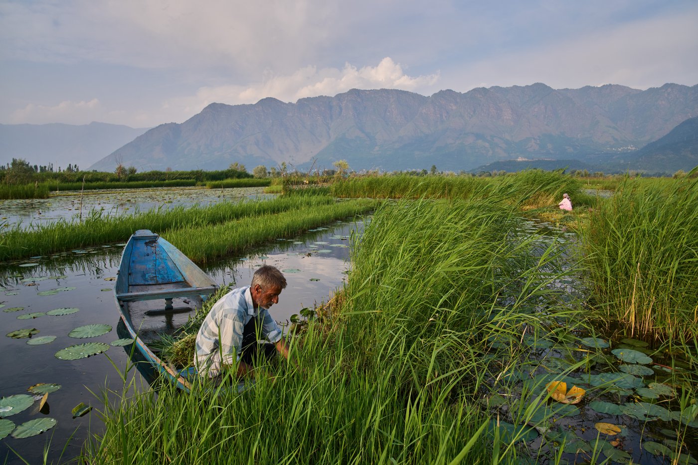 Warming climate, pollution and unplanned growth push Kashmir’s lakes toward disappearance | iNFOnews.ca