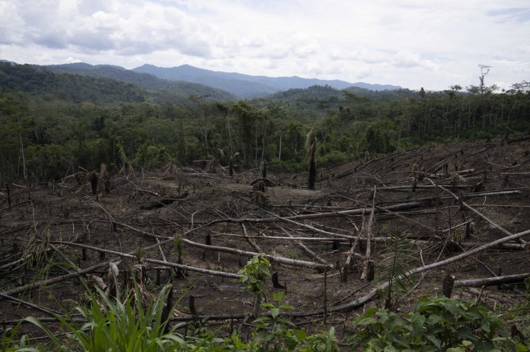 As Amazon's 'flying rivers' weaken with tree loss, scientists warn of worsening droughts | iNFOnews.ca