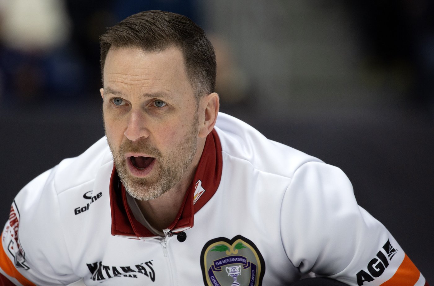 High-performance director, author, TV analyst: Gushue busy since hanging up broom | iNFOnews.ca High-performance director, author, TV analyst: Gushue busy since hanging up broom | iNFOnews.ca