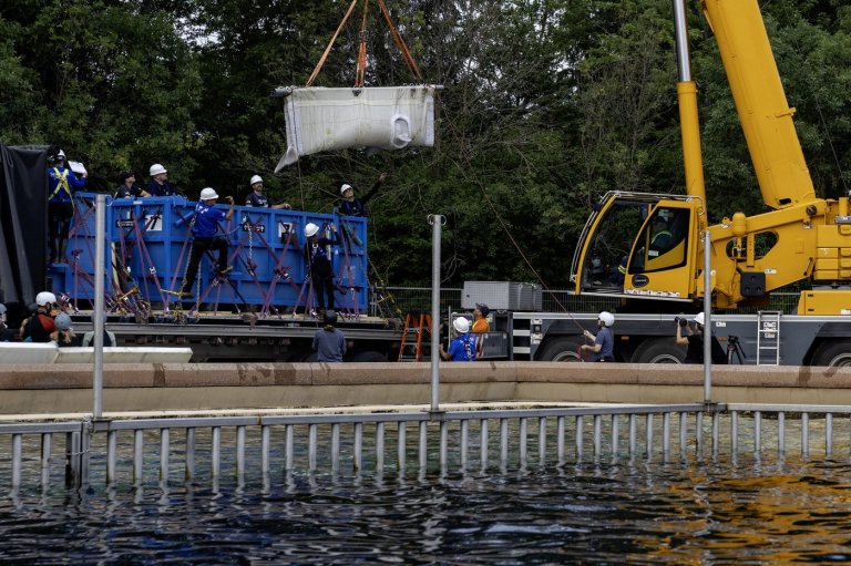 Six Marineland belugas now swimming in new U.S. homes | iNFOnews.ca