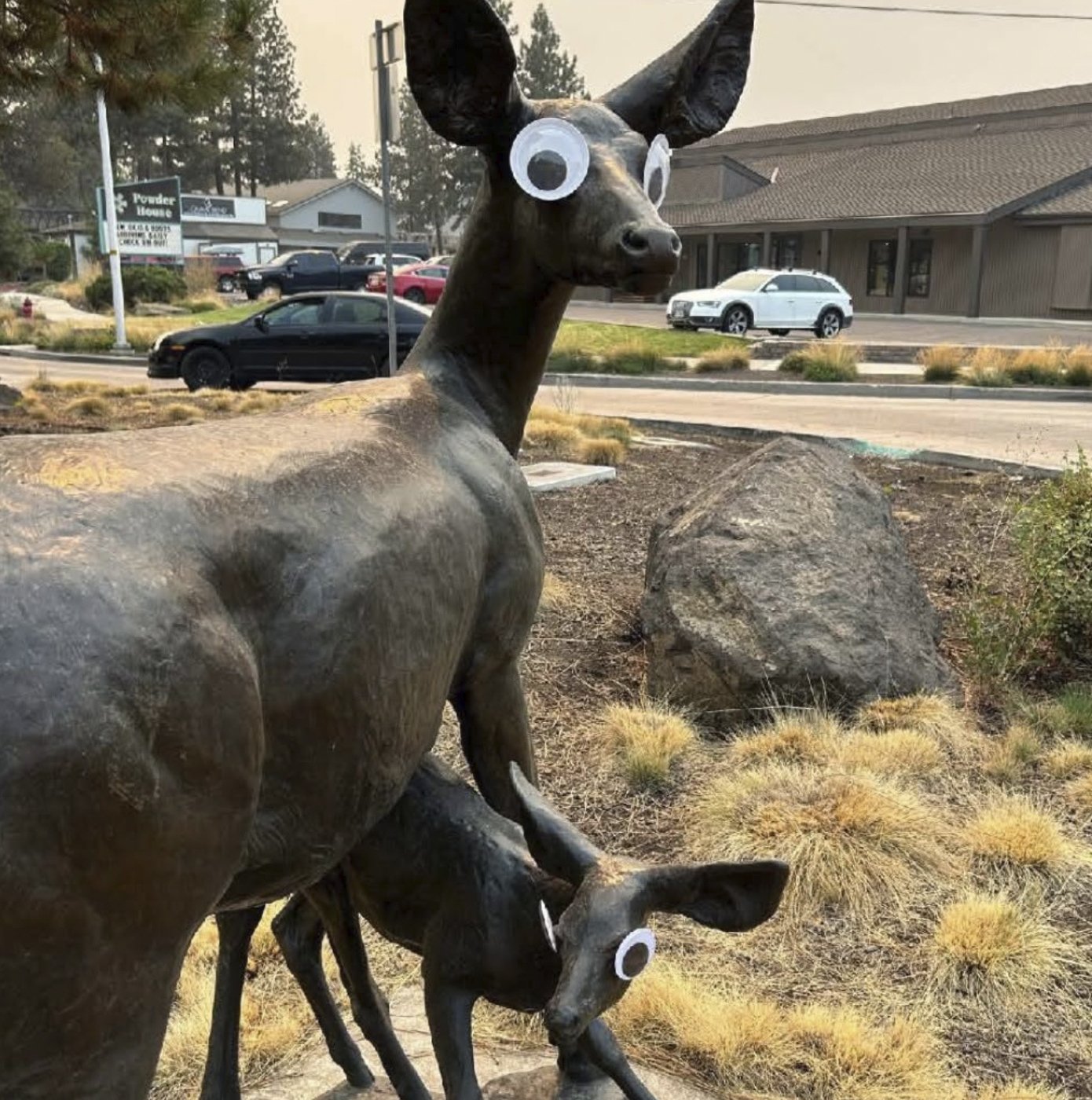 Man says he was behind some of the viral googly eyes on public art in Oregon | iNFOnews.ca