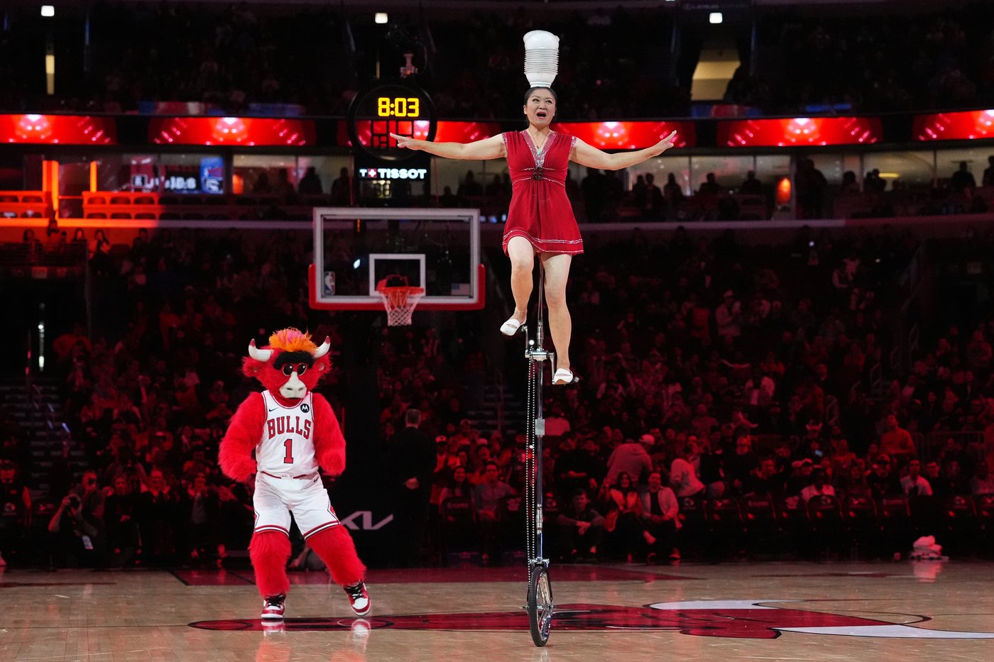 Popular performer Red Panda makes NBA return, roughly 4 months after breaking wrist in fall | iNFOnews.ca