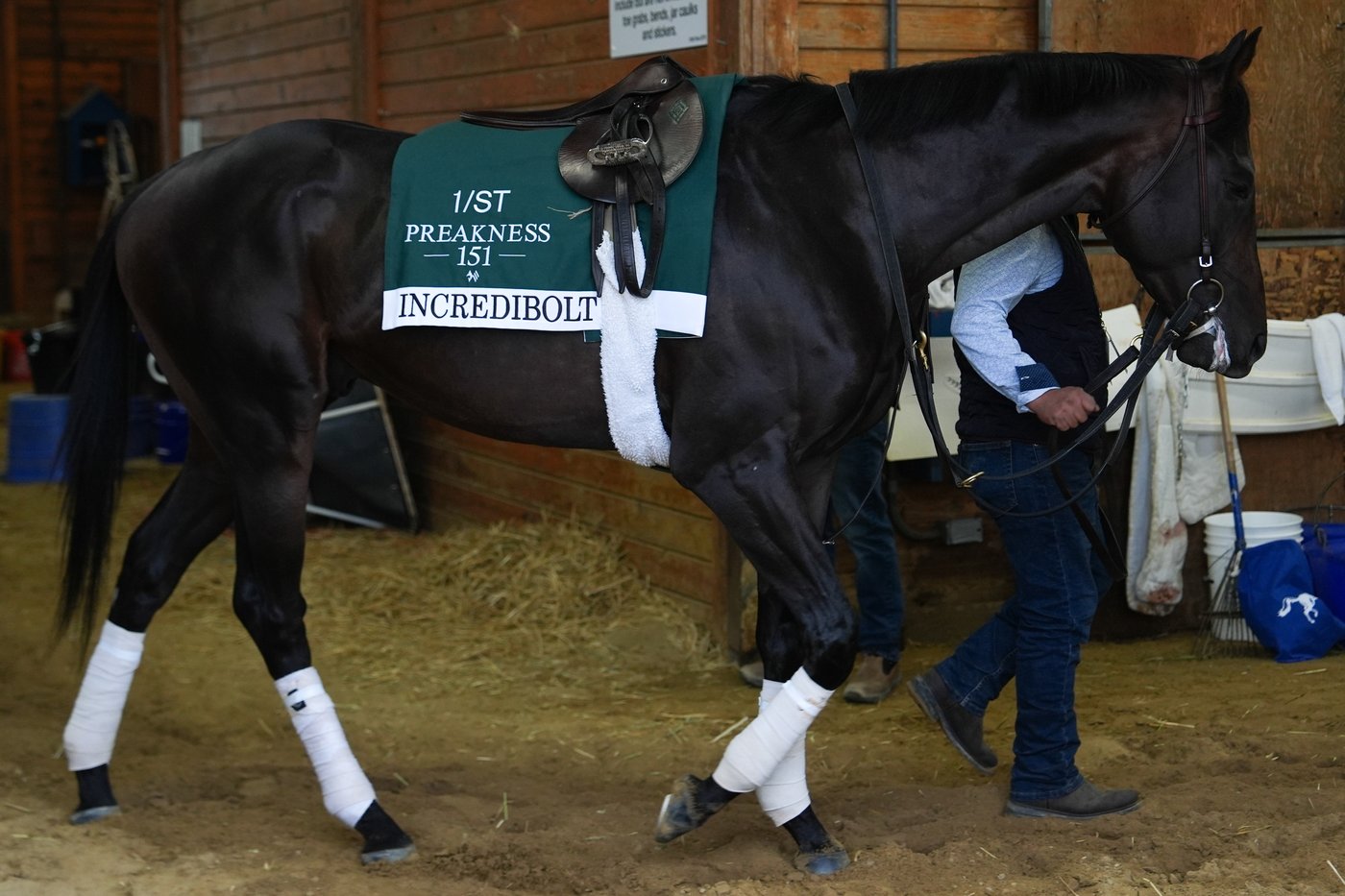 The Preakness at Laurel Park has a little bit of everything but the Kentucky Derby winner | iNFOnews.ca