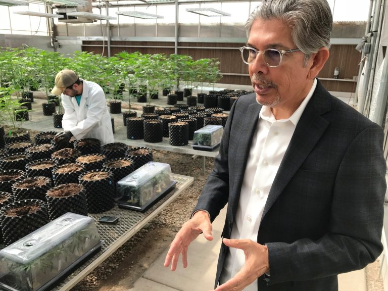 Cannabis entrepreneur Duke Rodriguez joins the race for New Mexico governor | iNFOnews.ca