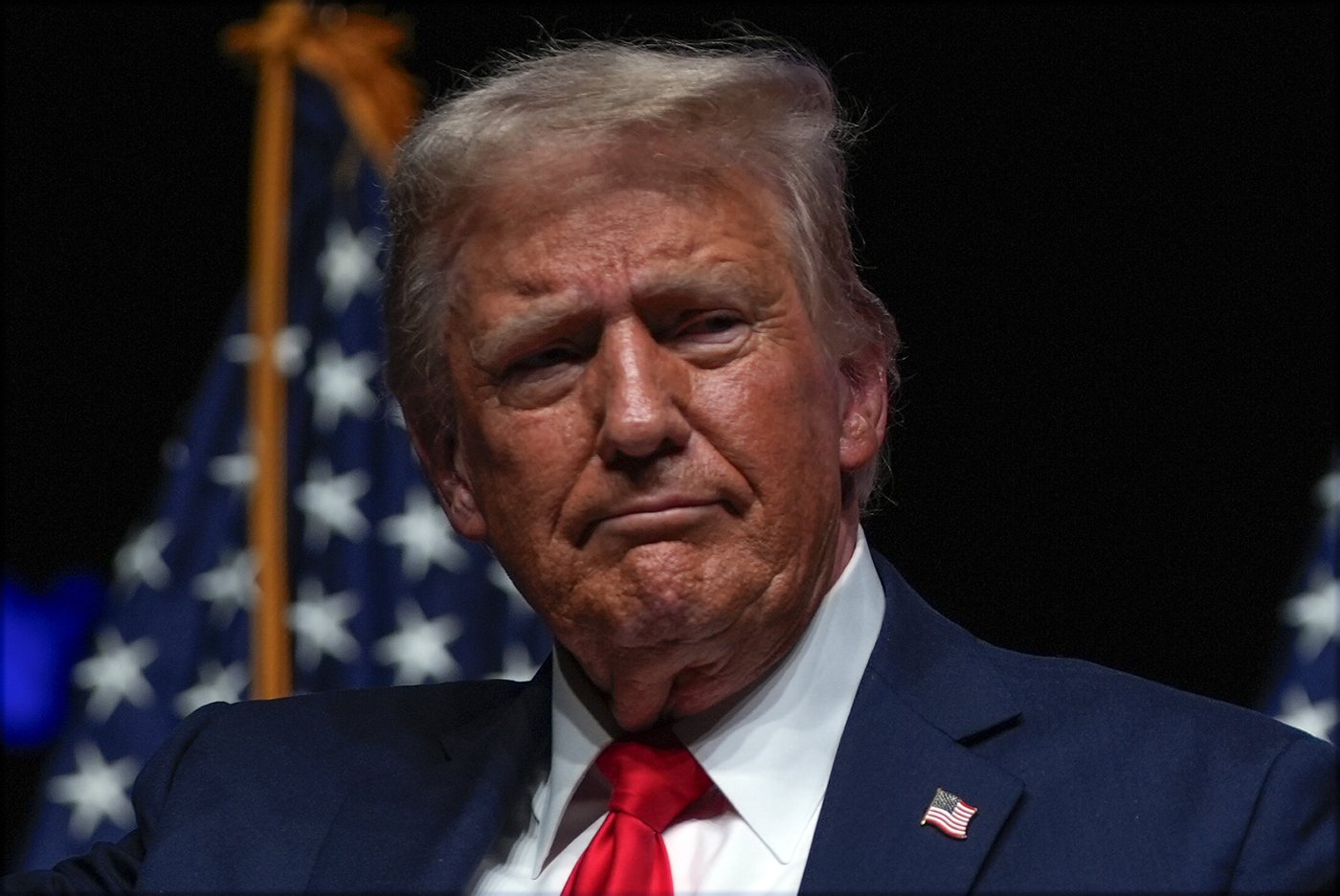 Harris assails Trump for saying Liz Cheney should have rifles 'shooting at her' | iNFOnews.ca