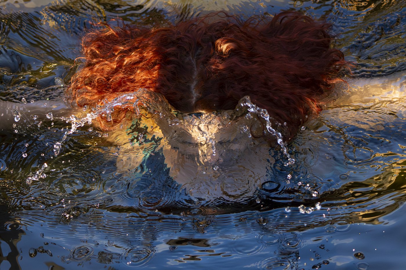 PHOTO COLLECTION: Epiphany | iNFOnews.ca