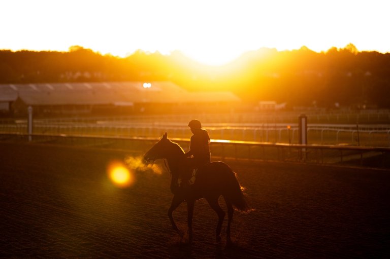 Photos of Laurel Park as storied track reaches final chapter | iNFOnews.ca