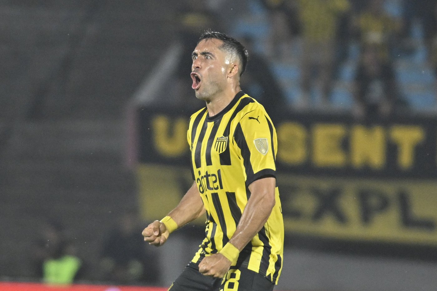 Brazil's Botafogo advances to its 1st Copa Libertadores final despite 3-1 loss at Penarol | iNFOnews.ca Brazil's Botafogo advances to its 1st Copa Libertadores final despite 3-1 loss at Penarol | iNFOnews.ca