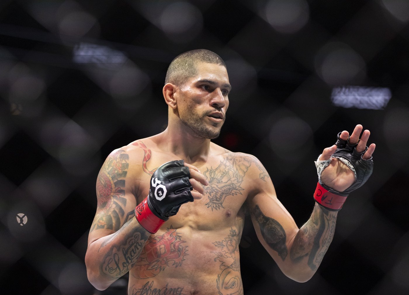 UFC President Dana White considering AI and Mark Zuckerberg to improve rankings system | iNFOnews.ca
