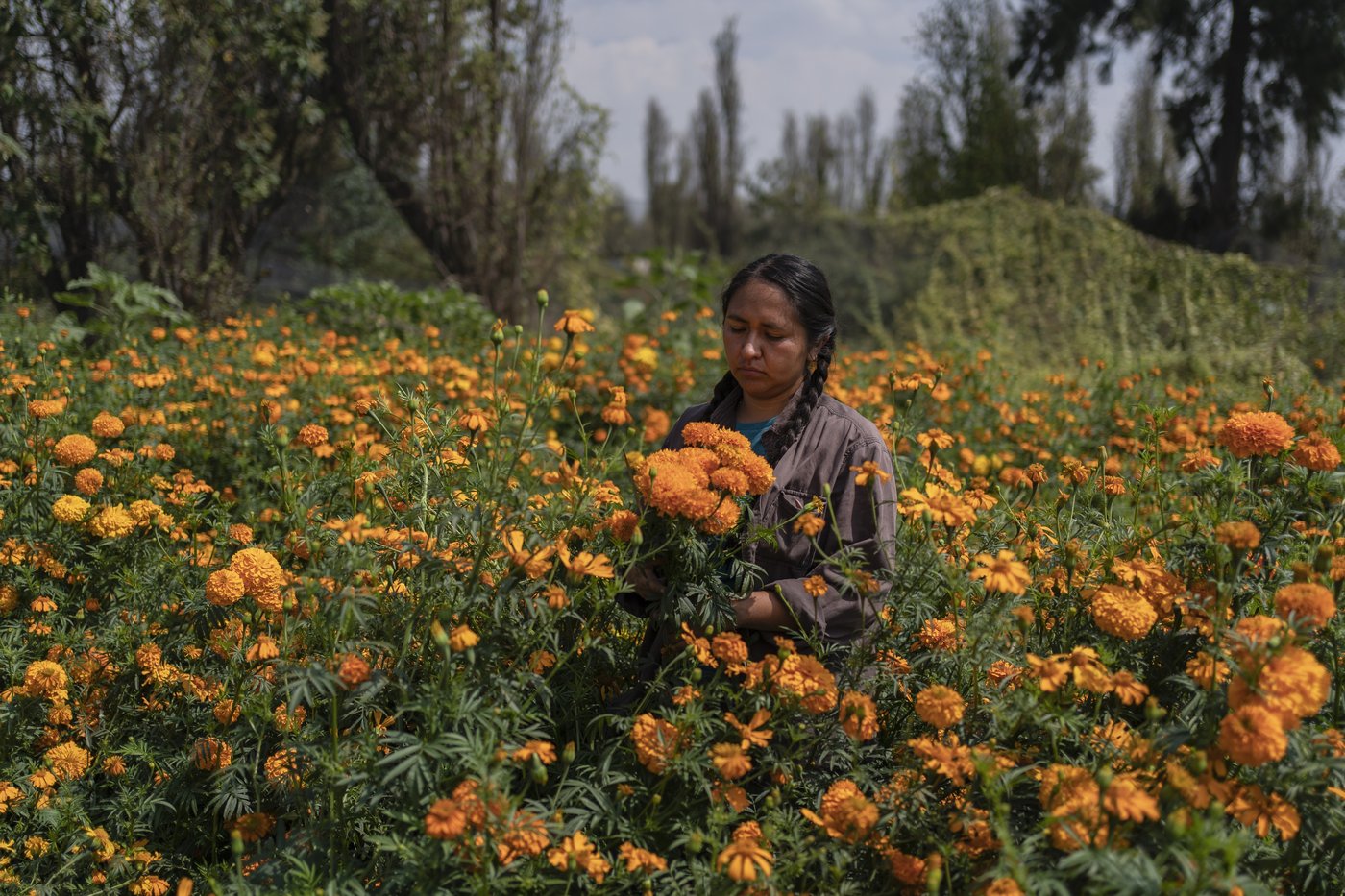 Mexico City’s floating gardens have fed people for hundreds of years. Now they’re threatened | iNFOnews.ca
