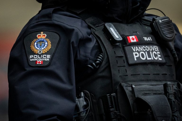 Black bear found wandering urban Vancouver is tranquilized and released | iNFOnews.ca