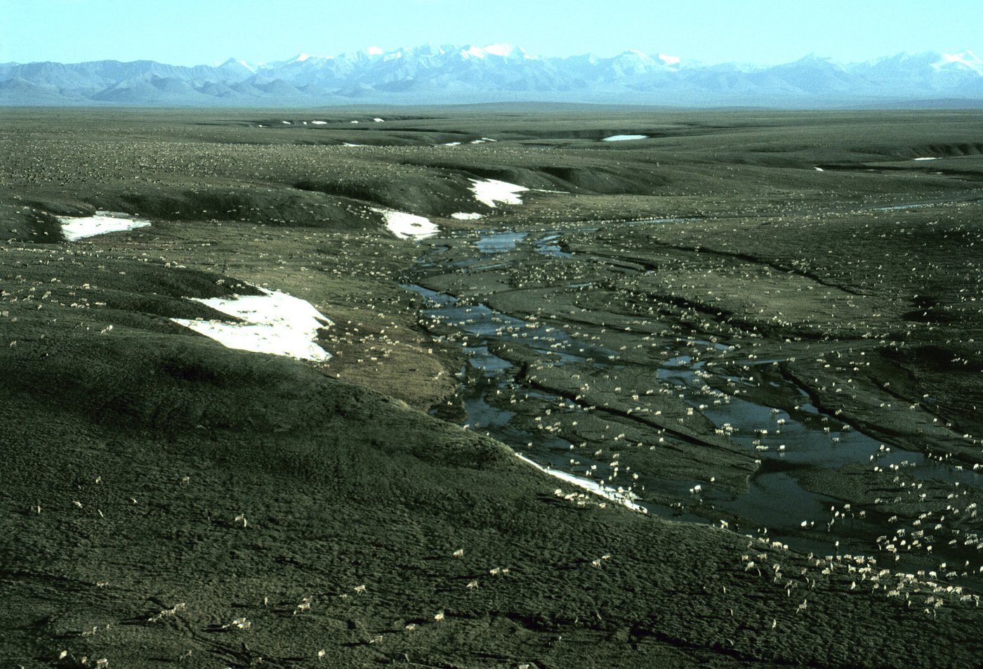 Takeaways from AP’s report on Alaska Natives’ response to oil and mining proposals | iNFOnews.ca Takeaways from AP’s report on Alaska Natives’ response to oil and mining proposals | iNFOnews.ca