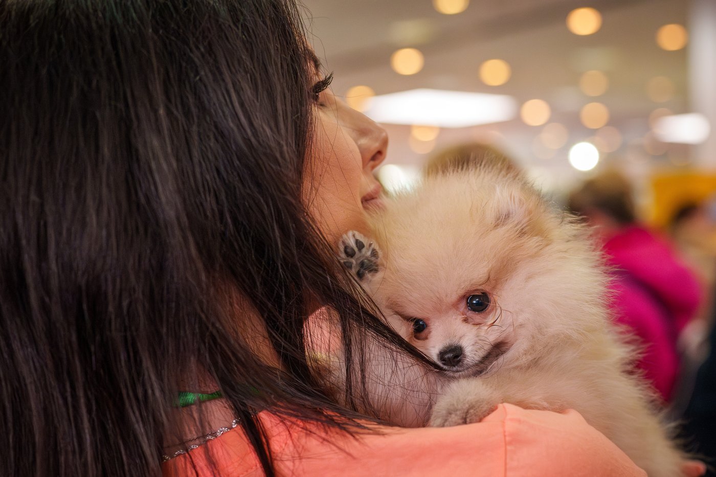 Photos of pets dressed up in costumes for Romania’s annual animal expo | iNFOnews.ca
