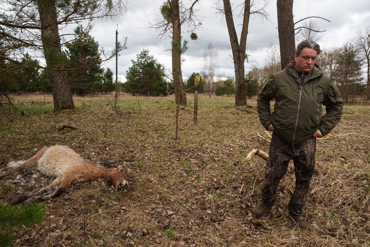 Chernobyl's radioactive landscape is a testament to nature’s resilience and survival spirit | iNFOnews.ca Chernobyl's radioactive landscape is a testament to nature’s resilience and survival spirit | iNFOnews.ca