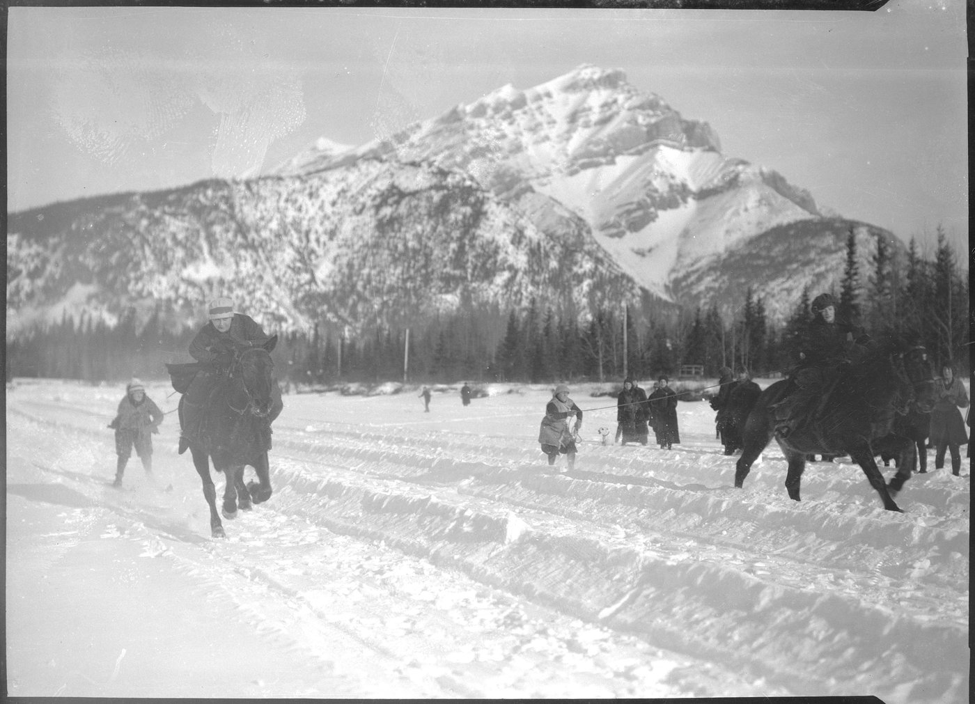 Skijoring: a sport you've likely never heard of pushed a resort town to its limit | iNFOnews.ca