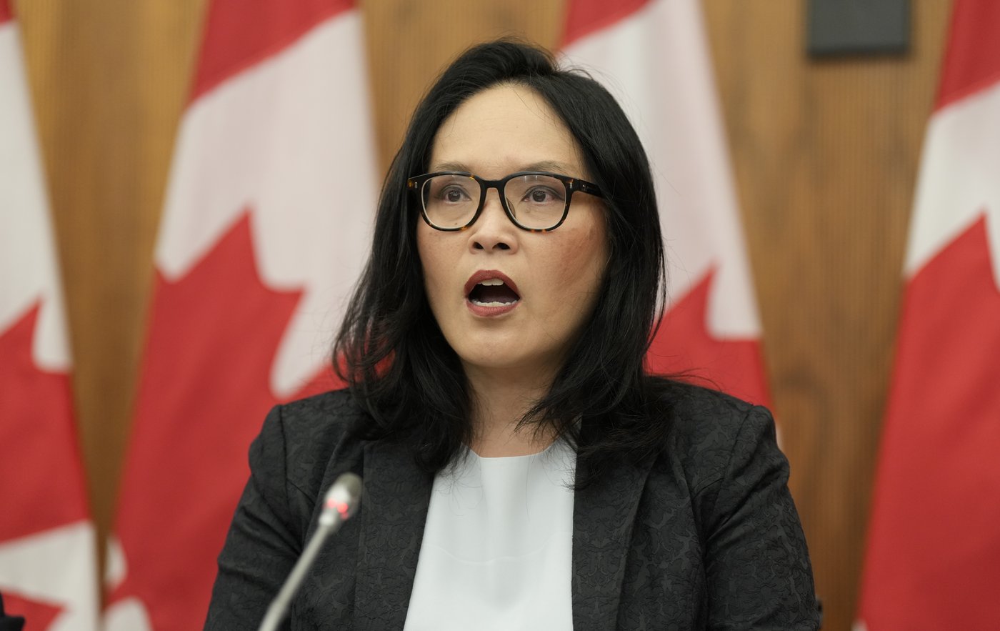 MPs reject bill to close U.S. loophole for arms exports, with some Liberal dissent | iNFOnews.ca MPs reject bill to close U.S. loophole for arms exports, with some Liberal dissent | iNFOnews.ca