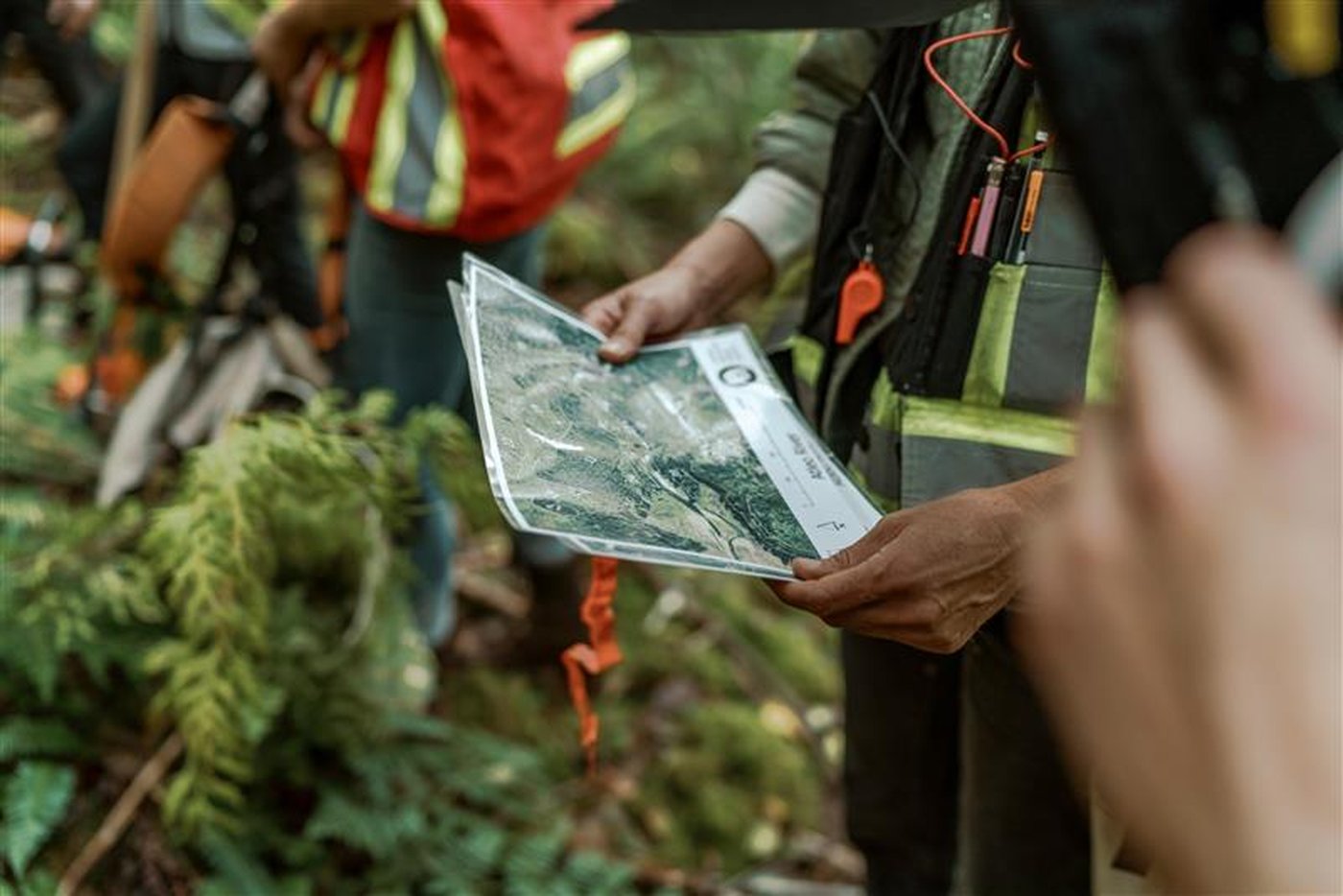 Vancouver Island First Nations gain control of three Clayoquot Sound forestry areas | iNFOnews.ca