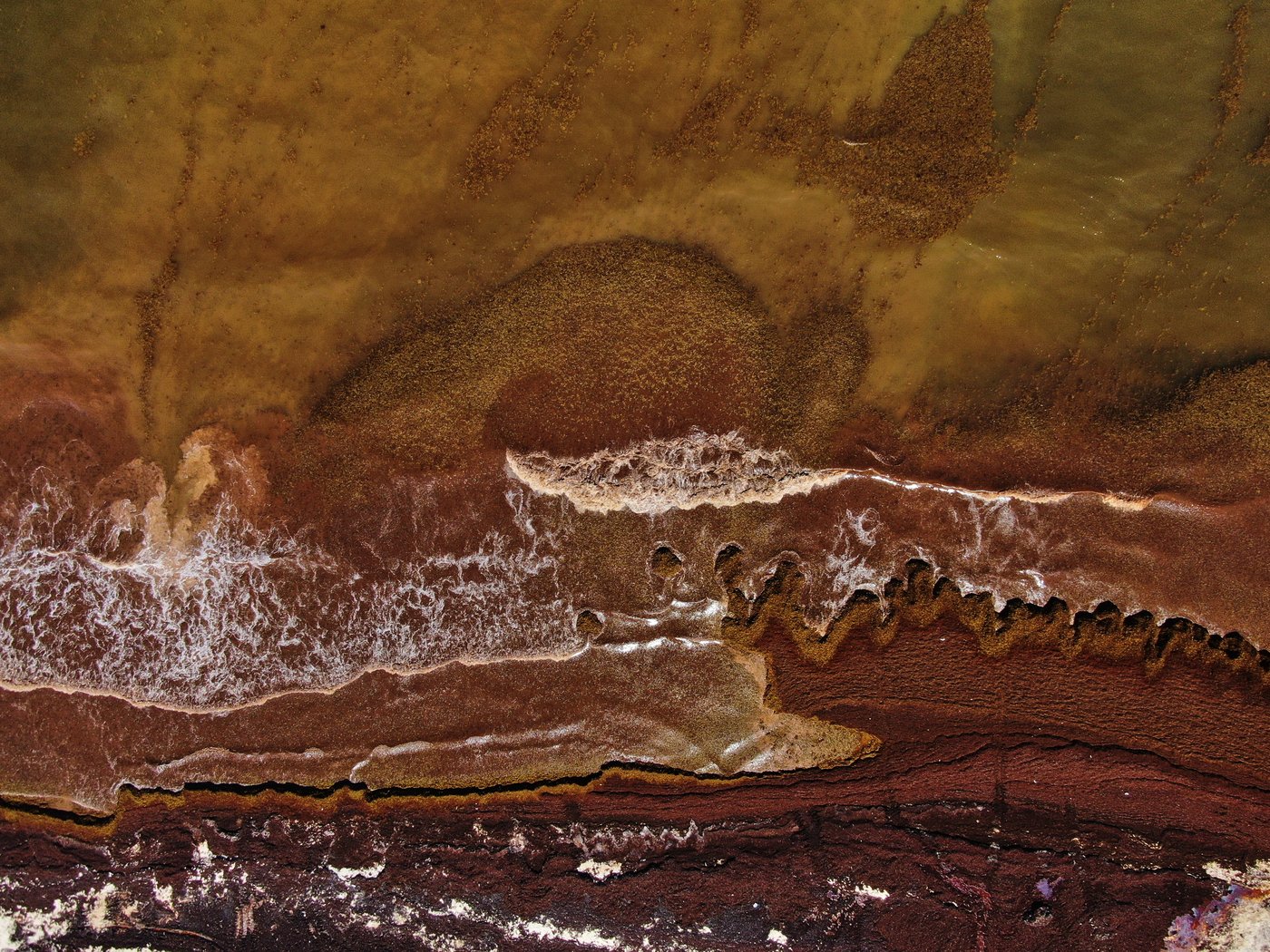 A blanket of seaweed smothers coastlines from the Caribbean to Mexico | iNFOnews.ca