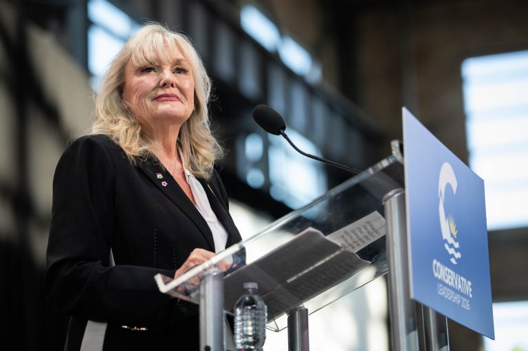 New Conservative leader Findlay fills new leadership with loyalists | iNFOnews.ca