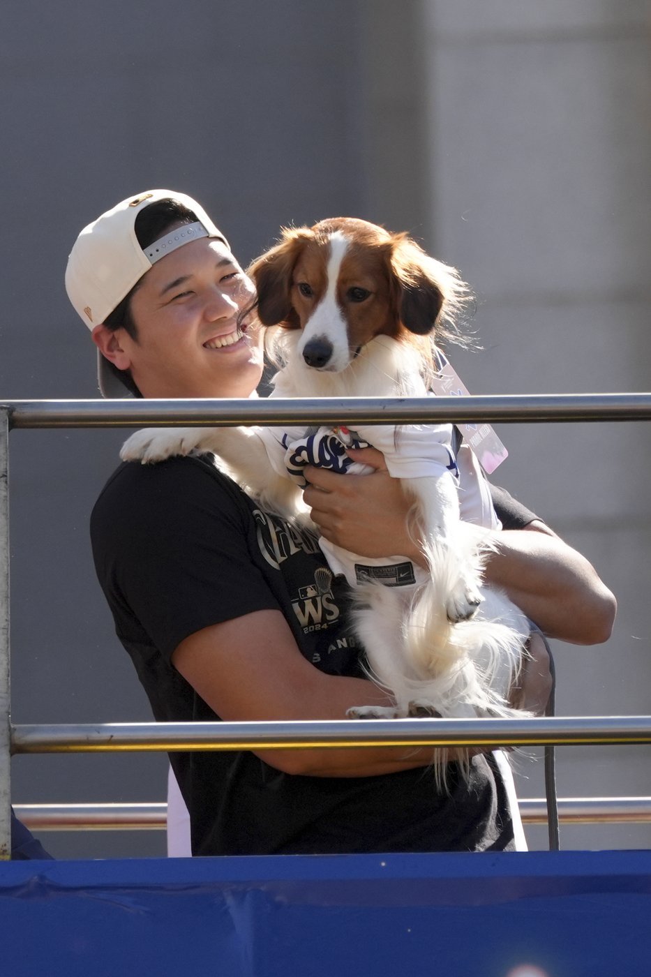 Meet Decoy Ohtani, perhaps the most valuable pet of the World Series | iNFOnews.ca Meet Decoy Ohtani, perhaps the most valuable pet of the World Series | iNFOnews.ca