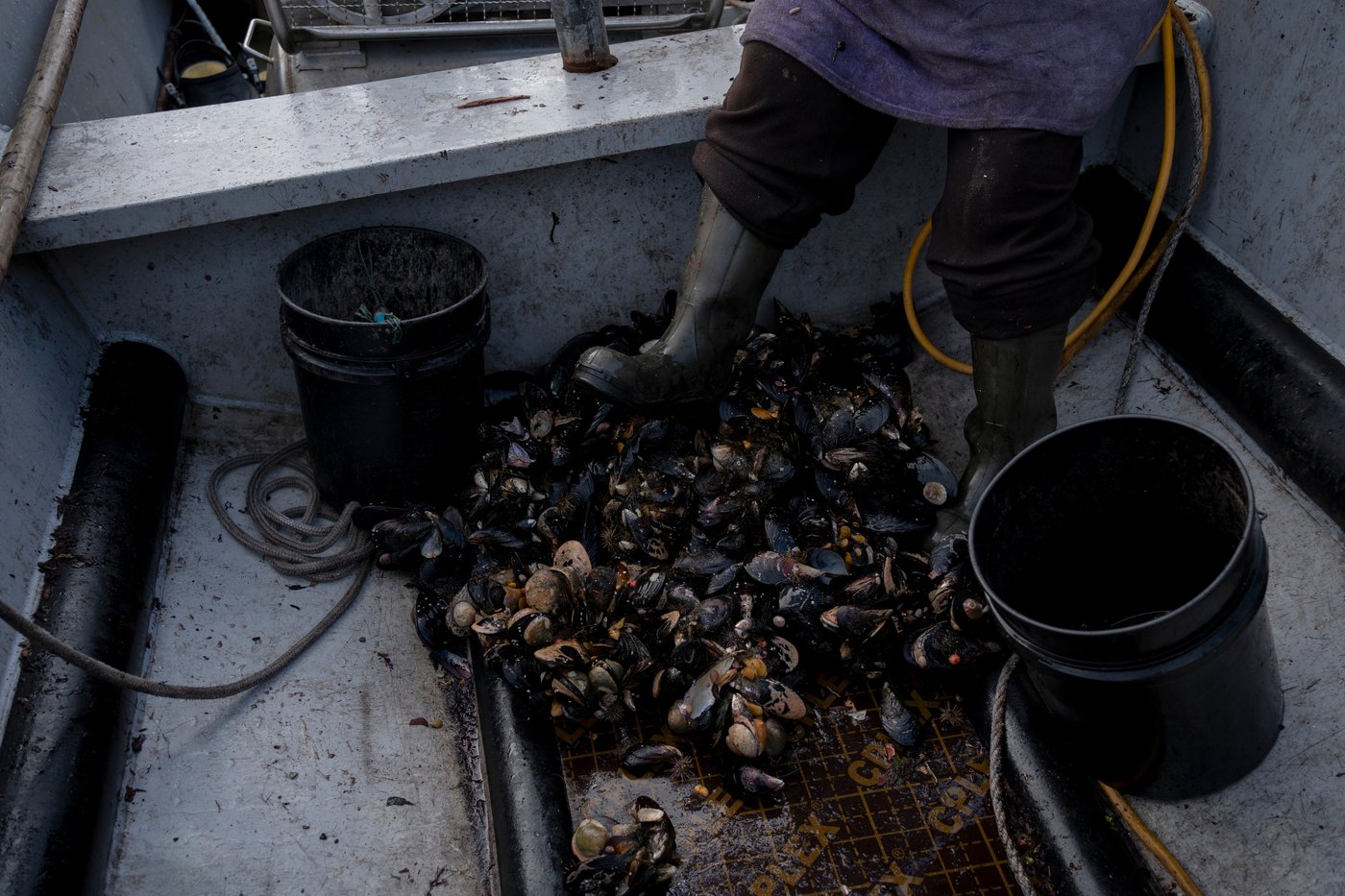 In southern Chile, locals push to protect oceans that have been hurt by intensive salmon farming | iNFOnews.ca In southern Chile, locals push to protect oceans that have been hurt by intensive salmon farming | iNFOnews.ca