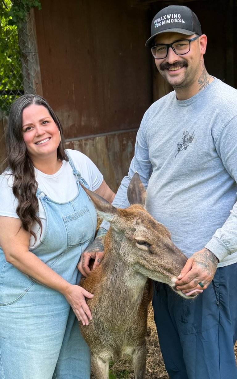 What's happening to deer at Marineland? Questions swirl as CFIA probes animal removal | iNFOnews.ca