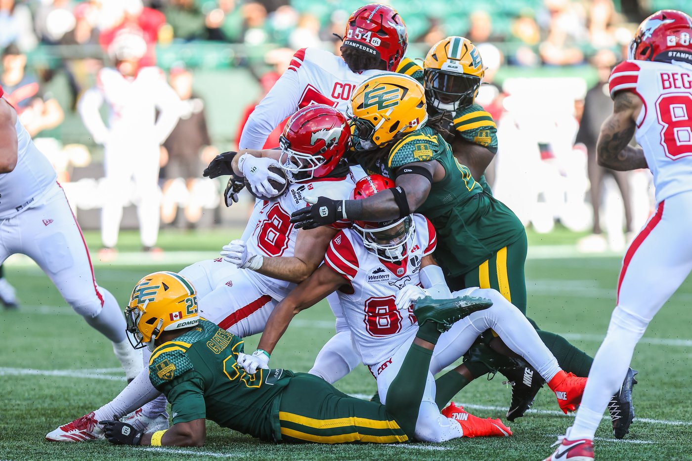 Elks snap playoff drought with 53-16 win over Stampeders | iNFOnews.ca Elks snap playoff drought with 53-16 win over Stampeders | iNFOnews.ca