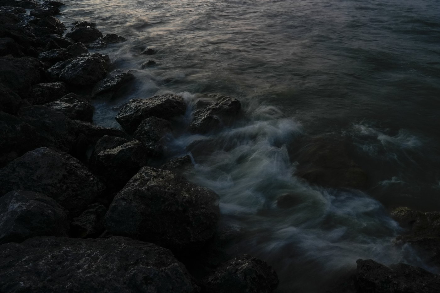 Researchers in a lab near Lake Erie study how toxic algae can damage health | iNFOnews.ca