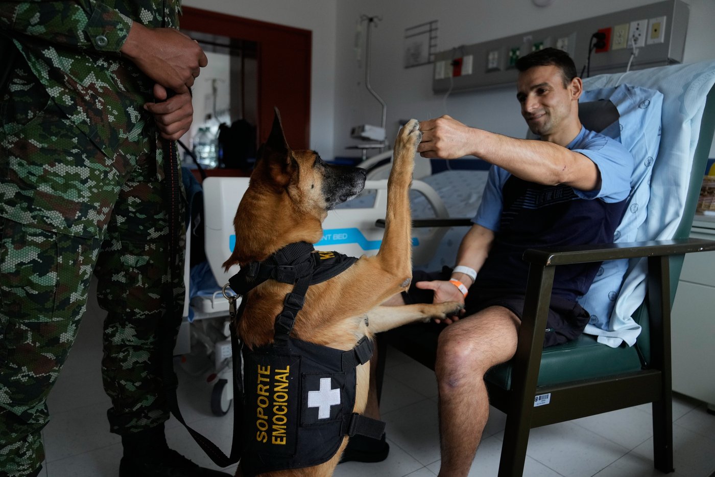 Colombian soldiers find solace in 'furry force' emotional support dogs | iNFOnews.ca