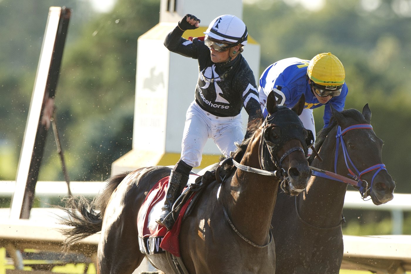 MyRacehorse ownership program returns to Canada in partnership with Woodbine | iNFOnews.ca