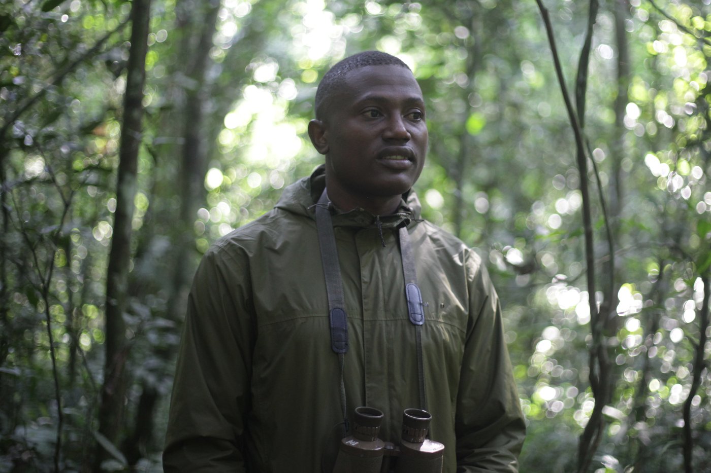 Conservationists connect with chimps in a Ugandan rainforest as they seek a sense of communion | iNFOnews.ca