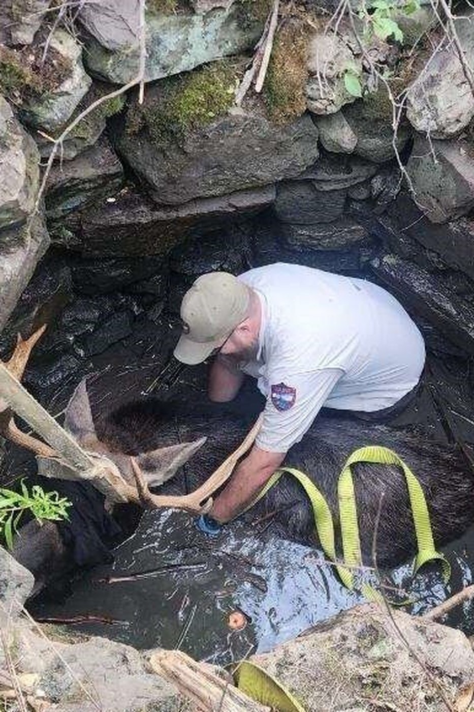 Maine wardens rescue moose trapped for hours in abandoned well | iNFOnews.ca Maine wardens rescue moose trapped for hours in abandoned well | iNFOnews.ca
