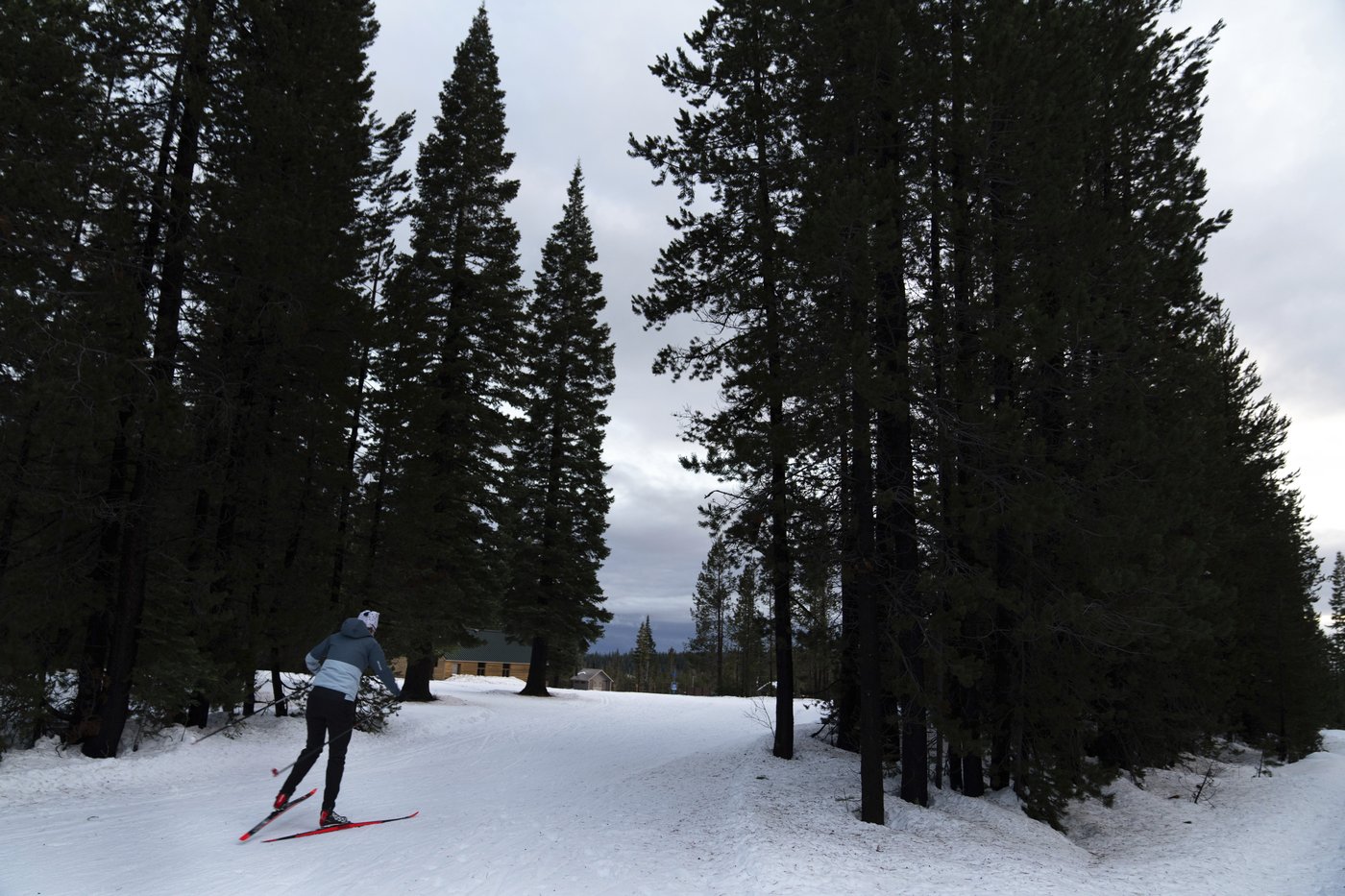 US Biathlon officials ignored sexual harassment and abuse of female racers for decades, athletes say | iNFOnews.ca