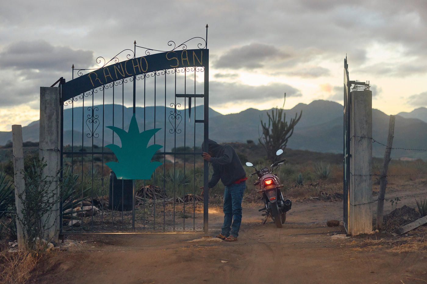 Mezcal's popularity is booming in the US. That comes with a growing environmental cost in Mexico | iNwine