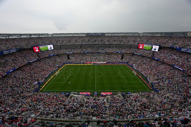 FIFA selling the field to be used for the World Cup final in $450 pieces | iNFOnews.ca