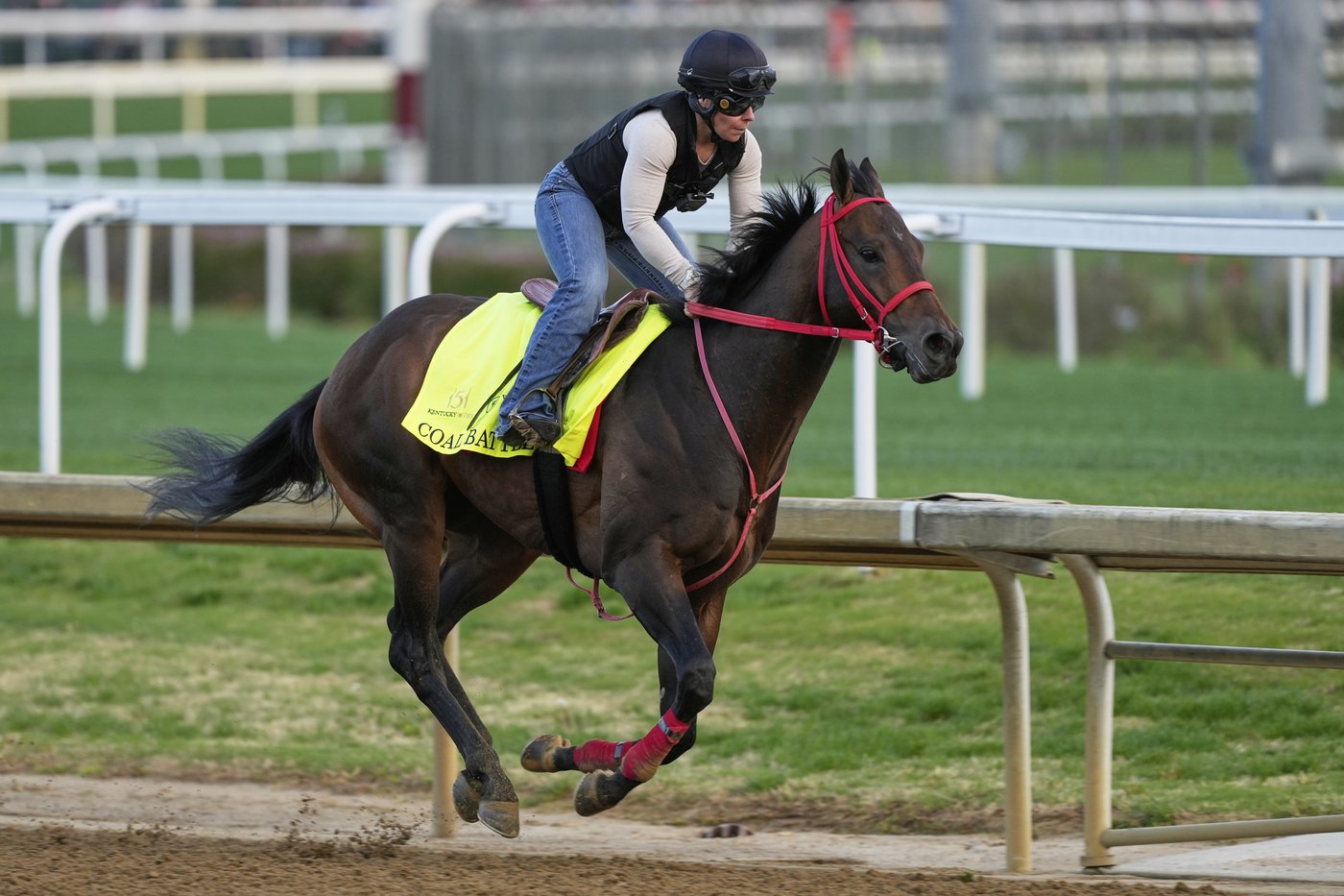 The 151st Kentucky Derby could be a mudder's delight with rain in the forecast | iNFOnews.ca