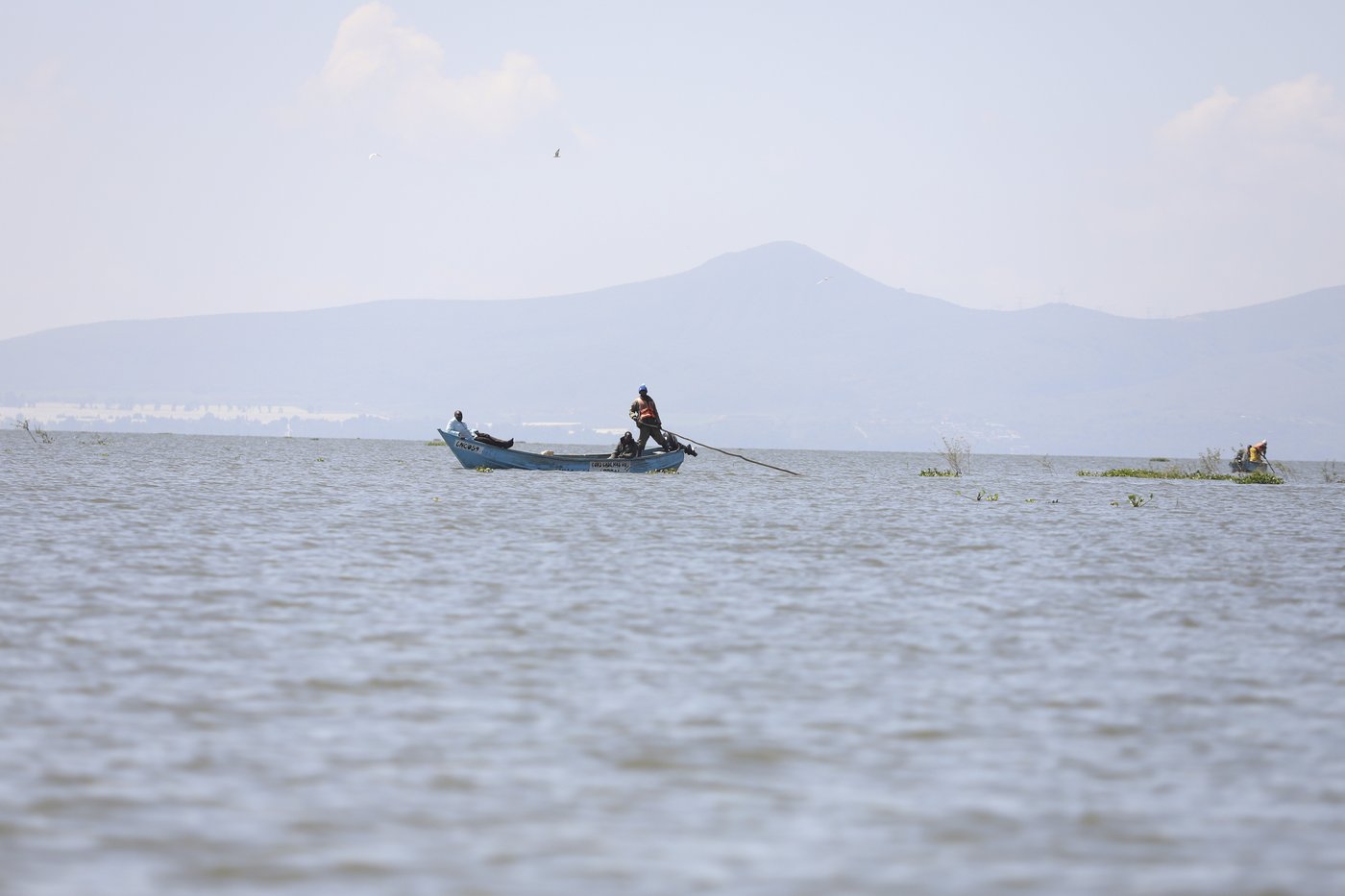 How the invasive water hyacinth is threatening fishermen's livelihoods on a popular Kenyan lake | iNFOnews.ca
