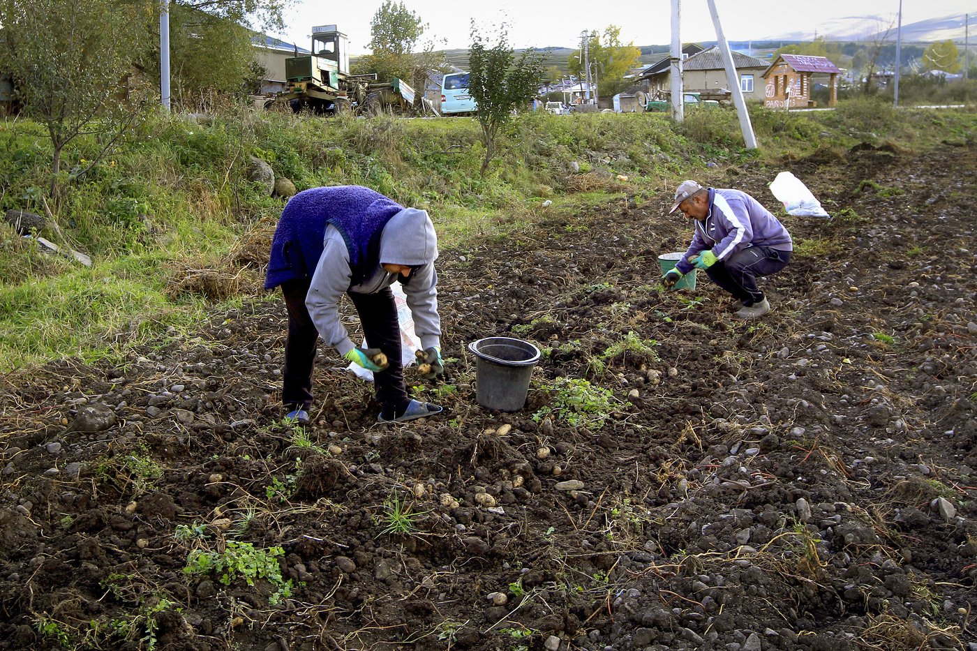 Georgia prepares for a divisive election which could determine its future in Europe | iNFOnews.ca