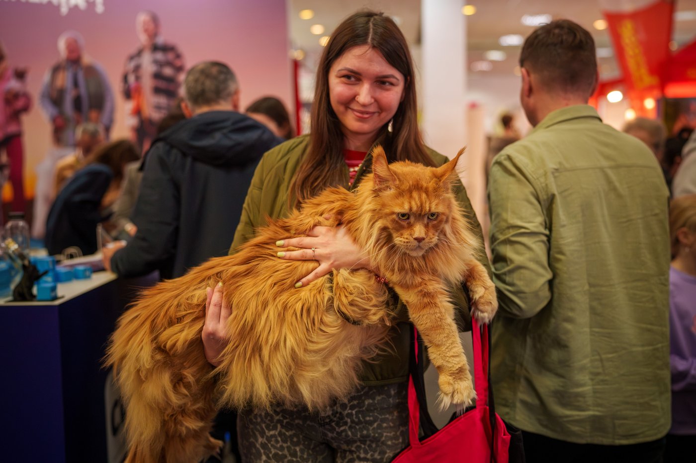 Photos of pets dressed up in costumes for Romania’s annual animal expo | iNFOnews.ca