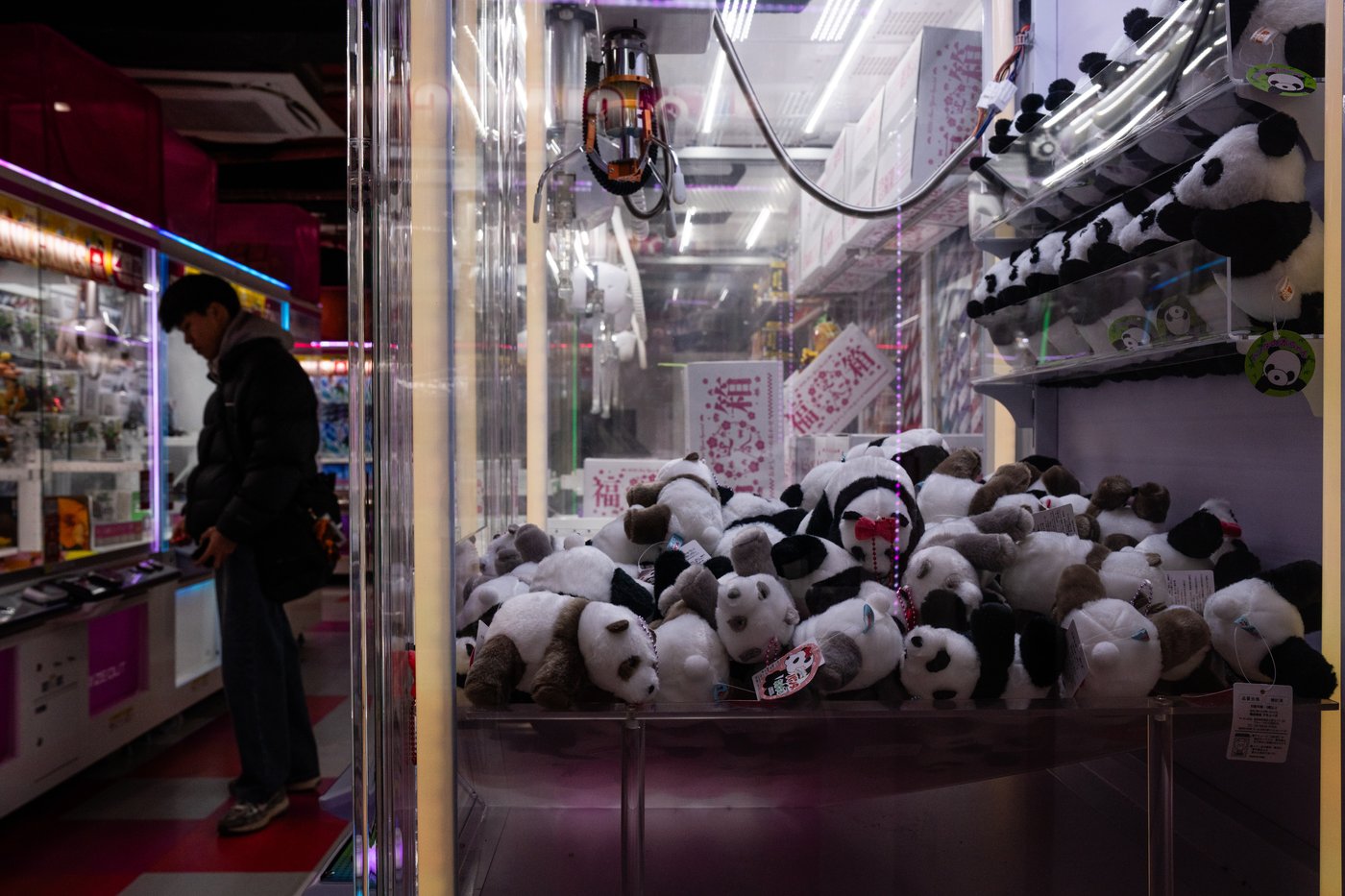 The last 2 pandas in Japan are leaving for China as ties are strained | iNFOnews.ca
