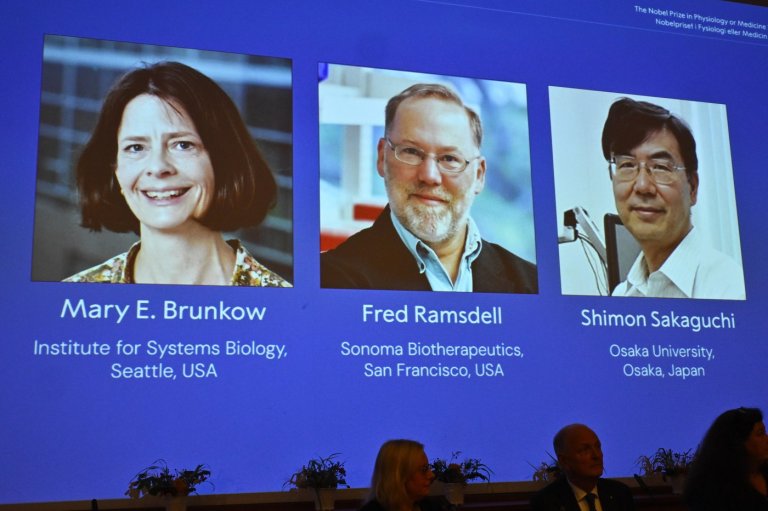 The Nobel Prize in medicine goes to 3 scientists for work on peripheral immune tolerance | iNFOnews.ca