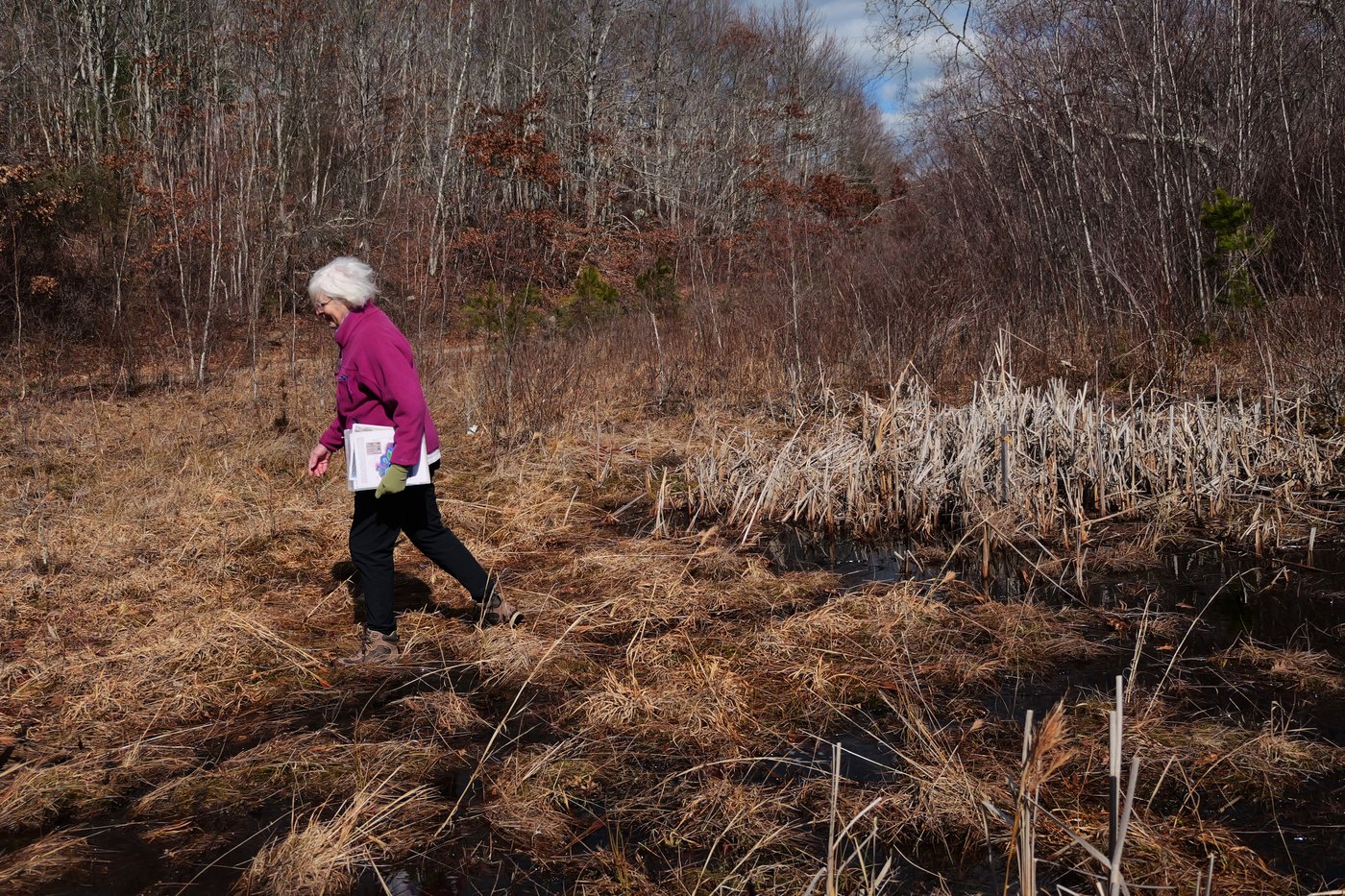 How a retired cranberry bog helped change the game for wetland restoration | iNFOnews.ca How a retired cranberry bog helped change the game for wetland restoration | iNFOnews.ca