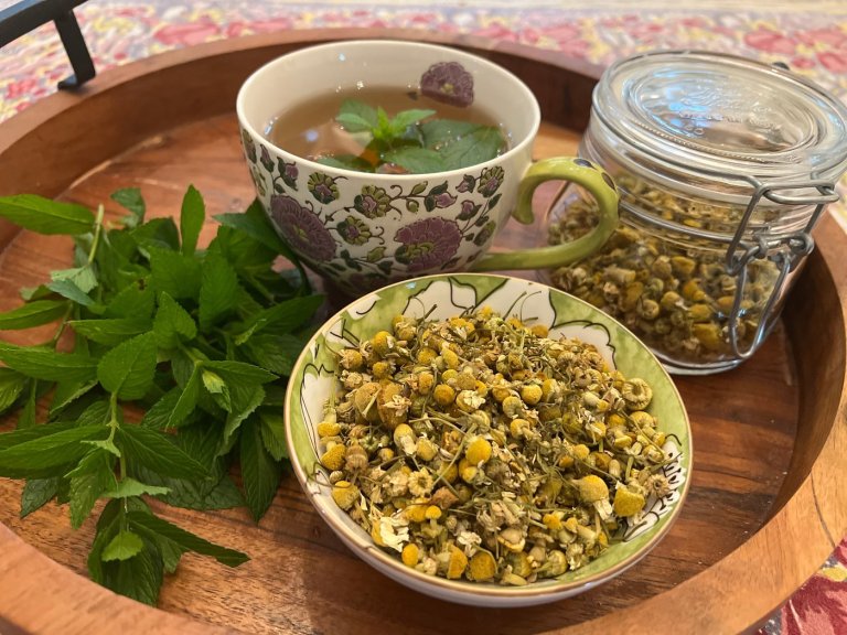 For a soothing cup of herbal tea, here's how to grow and prepare your own herbs | iNFOnews.ca