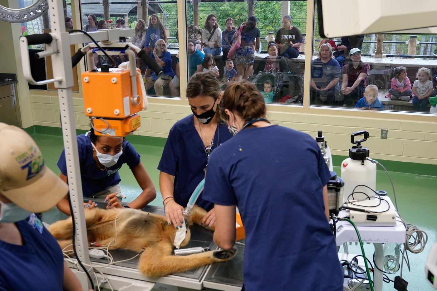 Visitors to a New Jersey zoo get to watch veterinarians treat the animals | iNFOnews.ca
