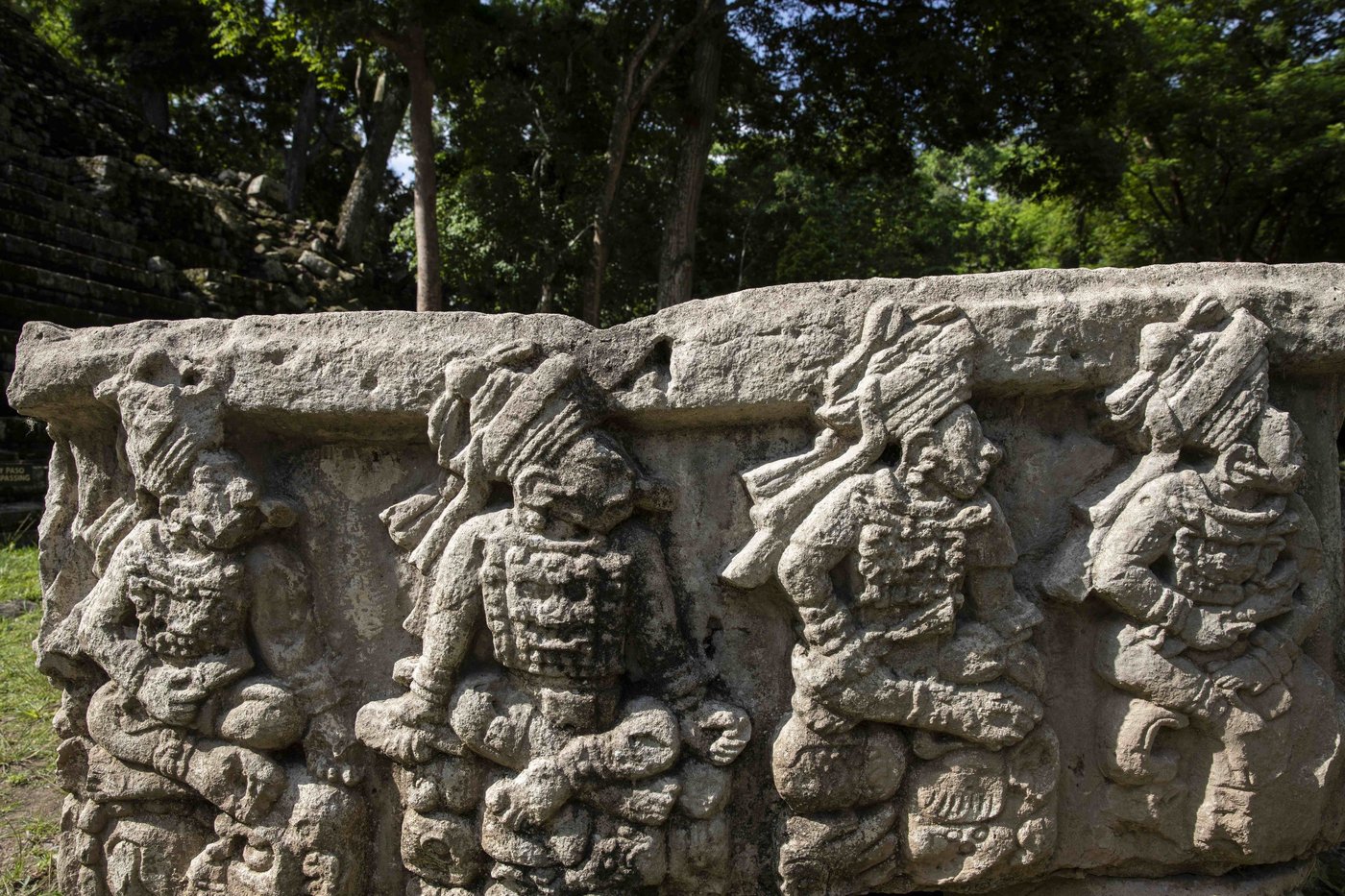 Archaeologists discover 4,000-year-old canals used to fish by predecessors of ancient Maya | iNFOnews.ca