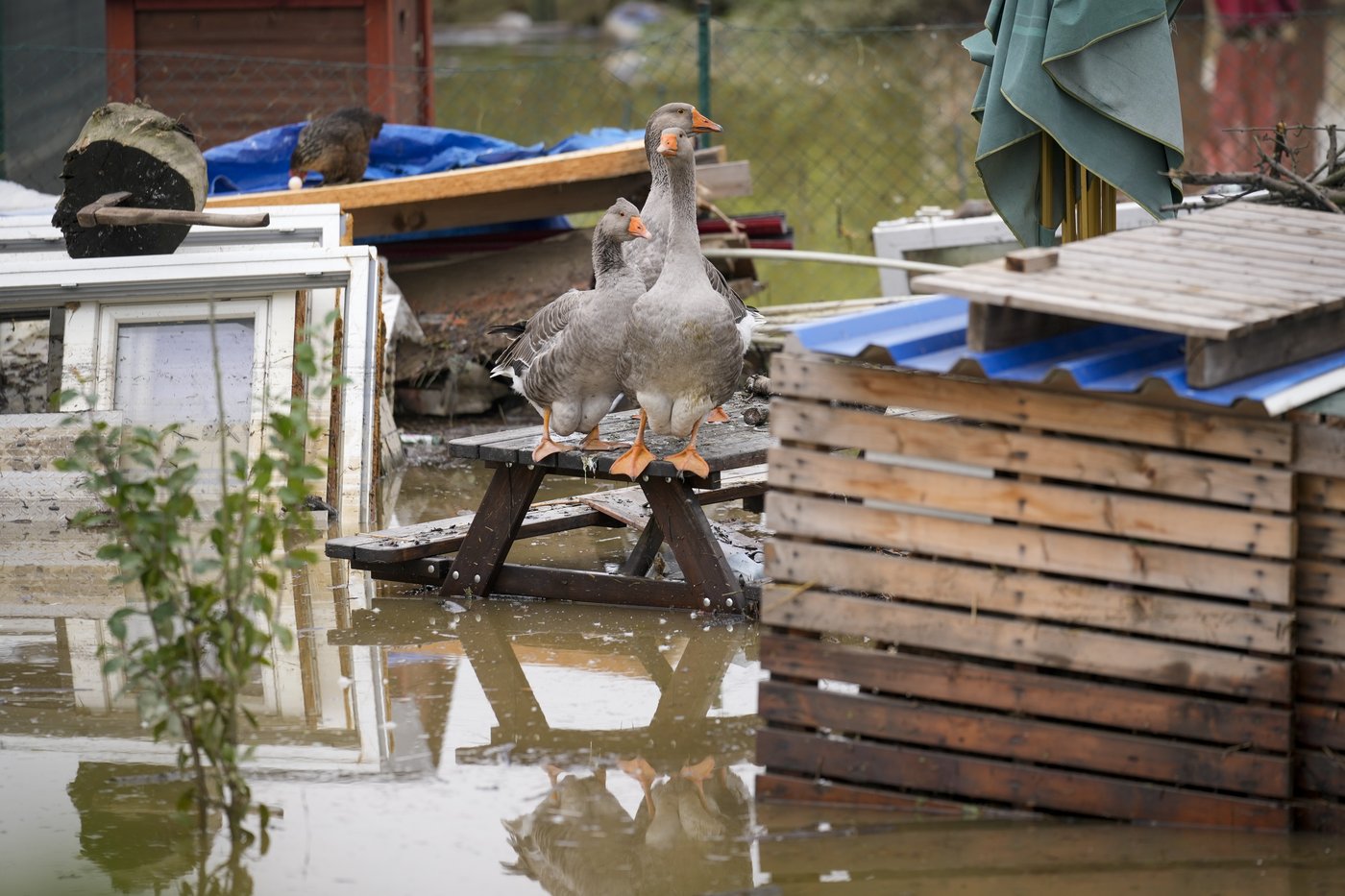 Rising rivers threaten southern Poland as flooding recedes elsewhere in Central Europe | iNFOnews.ca Rising rivers threaten southern Poland as flooding recedes elsewhere in Central Europe | iNFOnews.ca