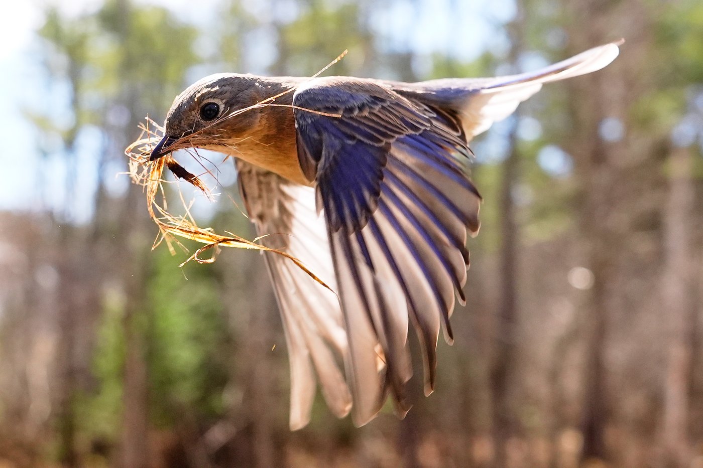 The top photos of the day by AP's photojournalists | iNFOnews.ca