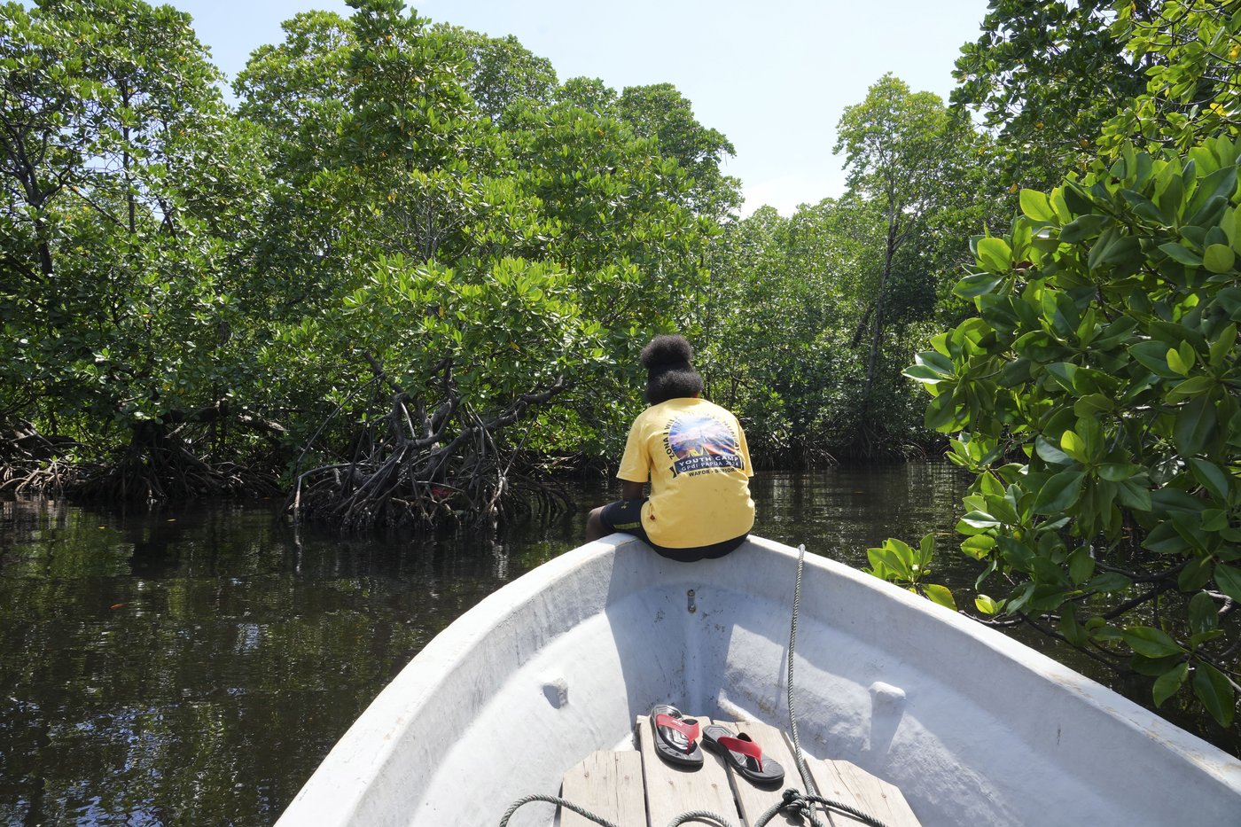 Papuan women's mangrove forest in Indonesia is increasingly threatened by development and pollution | iNFOnews.ca Papuan women's mangrove forest in Indonesia is increasingly threatened by development and pollution | iNFOnews.ca